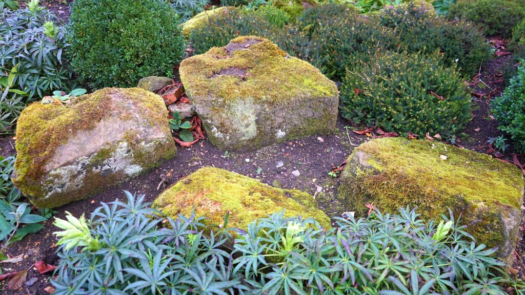 How To Keep Weeds Out Of Rock Landscaping