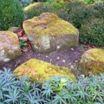 How To Keep Weeds Out Of Rock Landscaping